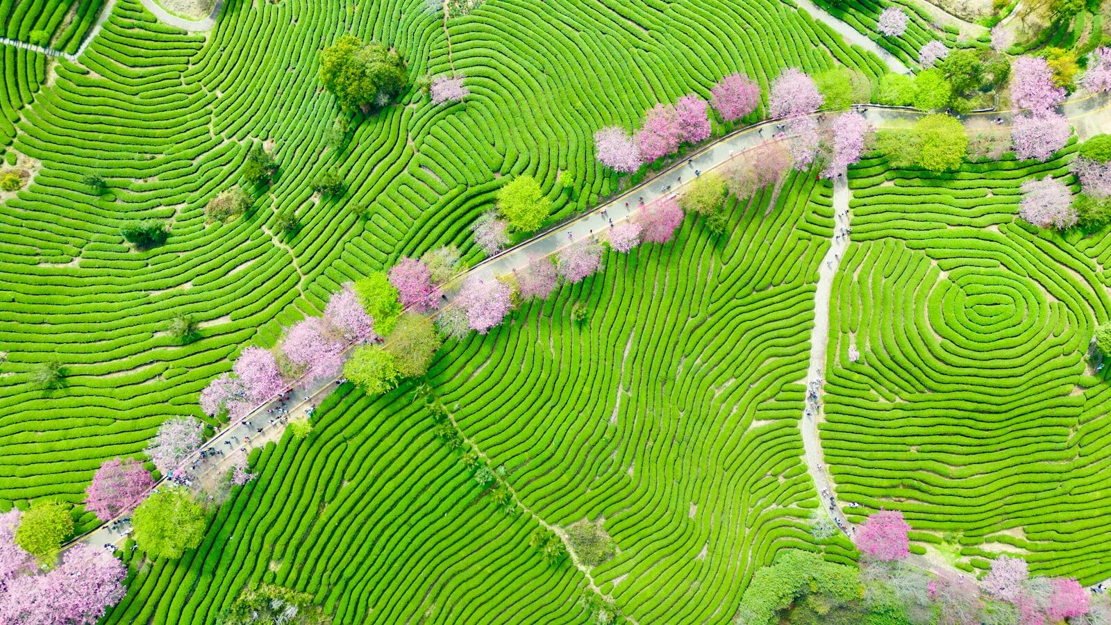 Legal Resources for Conservators