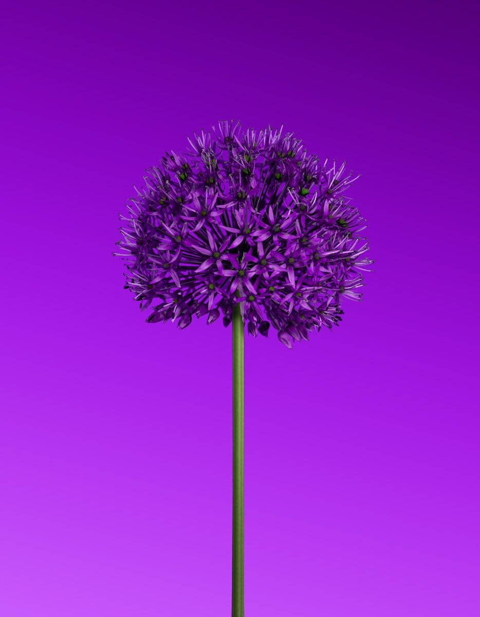 Effect of Incapacity on Contract